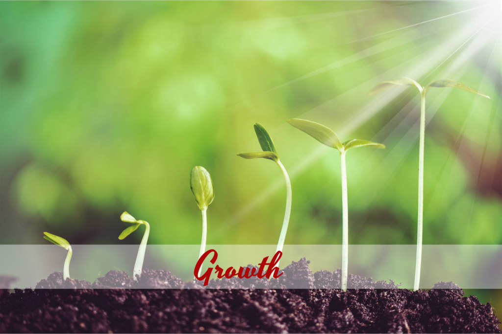 #39. Growth - Midlife-A-Go-Go