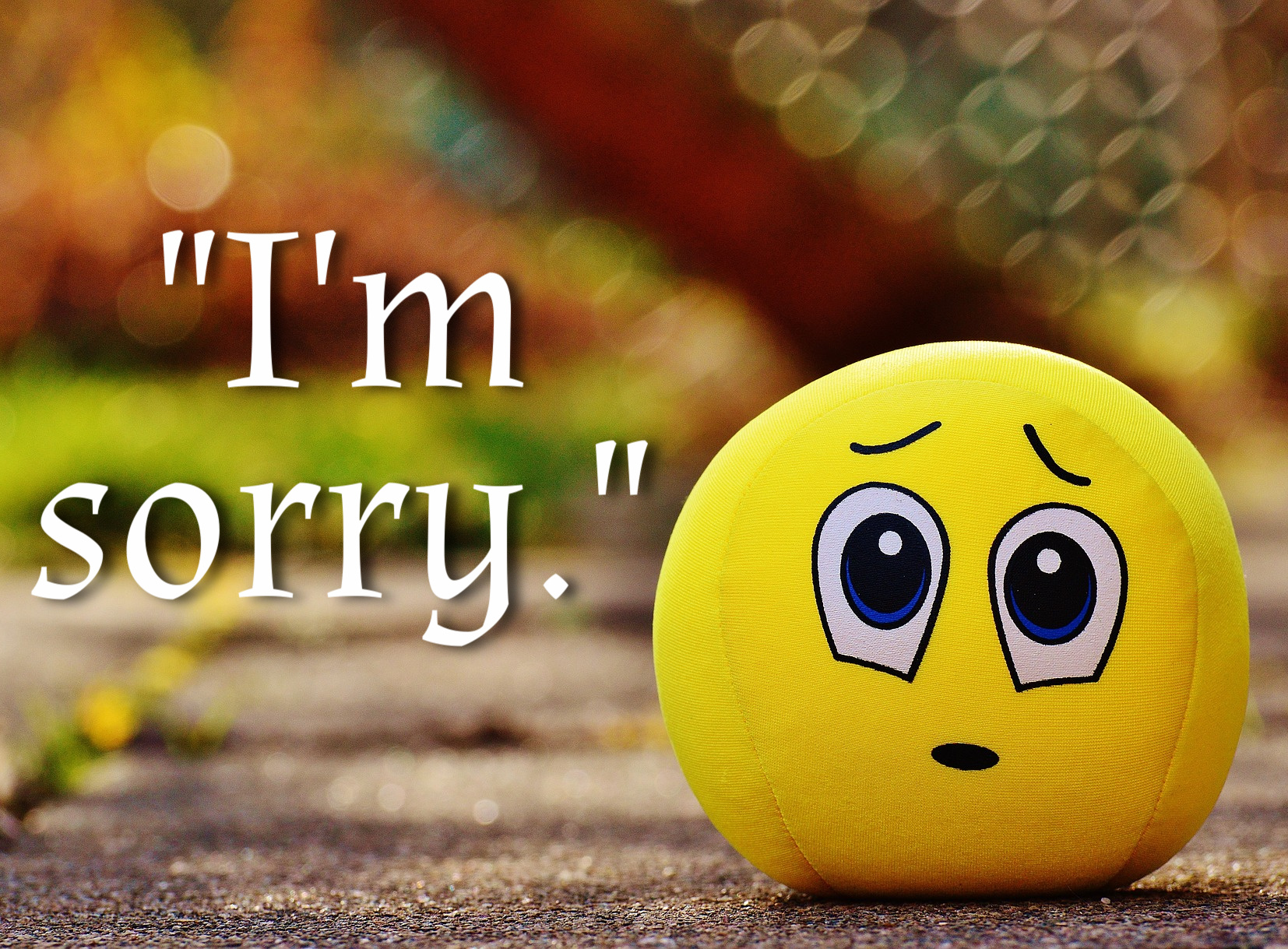 how-to-stop-saying-i-m-sorry-all-the-time-work-lead-live-how-to-be